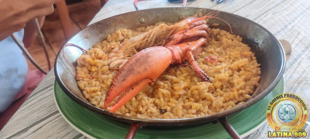 ngredientes:
1 bogavante fresco, cortado en trozos
2 tazas de arroz (preferiblemente arroz de grano corto)
1 cebolla grande, picada finamente
2 dientes de ajo, picados
1 pimiento rojo, cortado en cubos pequeños
2 tomates maduros, pelados y picados
4 tazas de caldo de pescado
1/2 taza de vino blanco seco
Aceite de oliva virgen extra
Sal y pimienta al gusto
Perejil fresco picado para decorar
Hebras de azafrán (opcional, para dar color y sabor)
Instrucciones:
Prepara el bogavante:

En una olla grande, hierve agua con sal. Cocina el bogavante durante unos minutos hasta que esté casi cocido. Retira el bogavante del agua y resérvalo. Guarda el agua de cocción para usarla en el caldo si lo deseas.