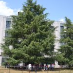 “El árbol de la libertad de ser refrescado con la sangre de los patriotas y tiranos..”