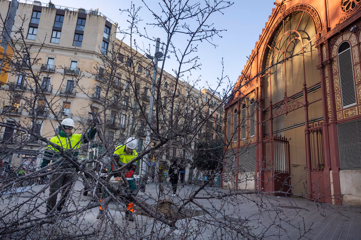 Un fuerte temporal de viento paraliza Cataluña: sin trenes de Rodalies, vuelos cancelados y centros educativos cerrados